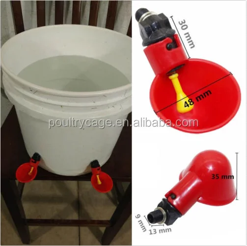Best Poultry Chicken Drinker Cup For Sale