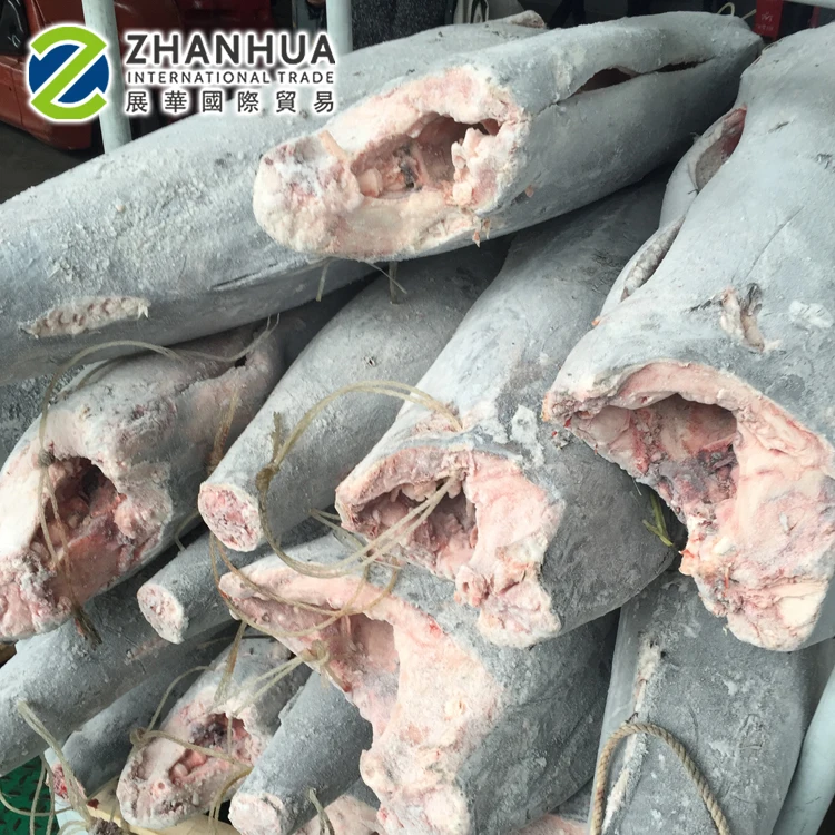 Black Marlin Wholesale HGT Frozen Blue Marlin