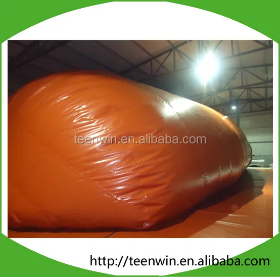 Soft biogas storage tank bag