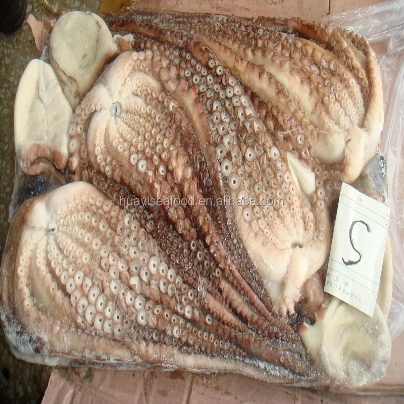 Новая посадка, замороженный Осьминог (латинское название: Осьминог вульгарис)