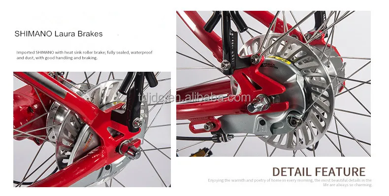 Removable Luggage Carrier Chainless Bicycle 26' Fat Travel Bike