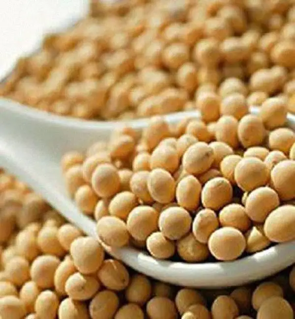 
100% Natural soybean protein powder , soybean lecithin , black soybean powder 