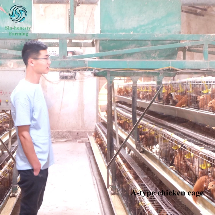3tiers 4tiers layer chicken egg cage battery cages for chicken farm