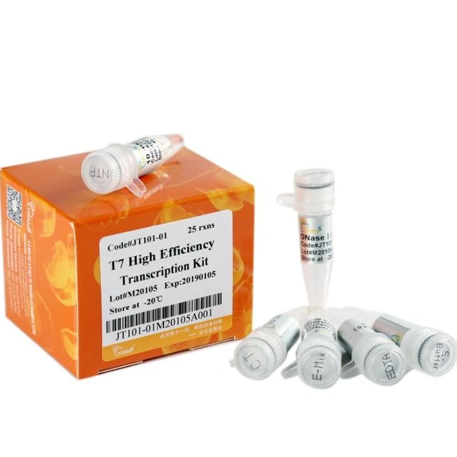 T7 High Efficiency Transcription Kit-RNA polymerase by TransGen Biotech