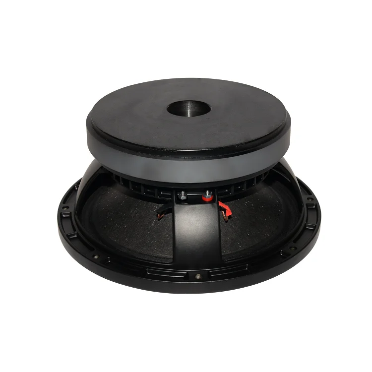 Factory directly woofer 10inch amplifier speaker woofer unit WL10192A