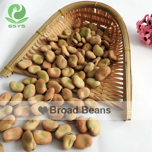 Qinghai Fava Beans Broad Beans
