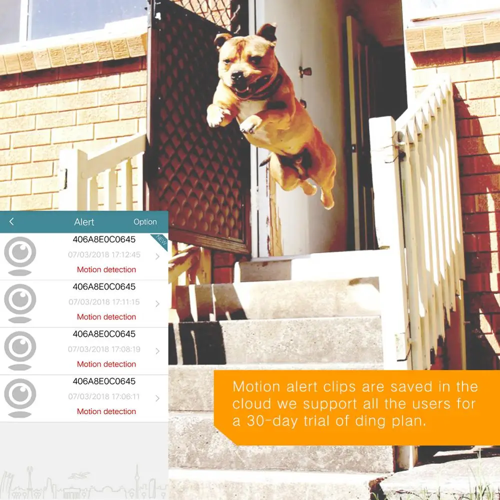 Real Time Monitoring Wifi Connection Ptz Camera For Intrusion detection Mini camera indoor Mini Very Small Camera