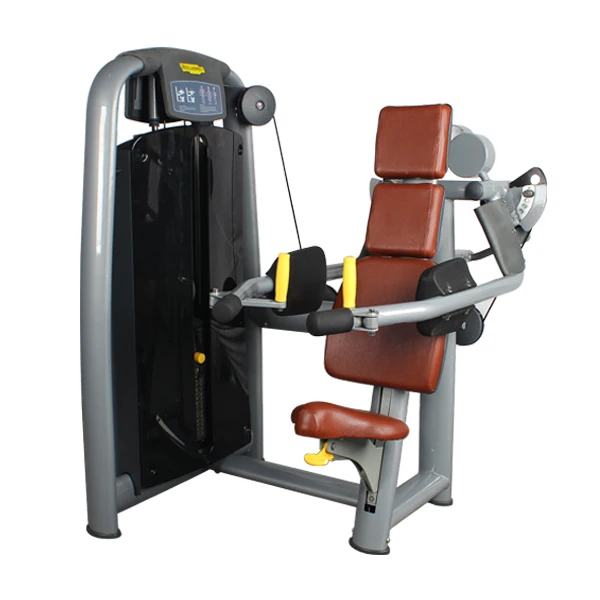 
Techno brand delts machine fitness equipment wholesale commercial gym equipment 