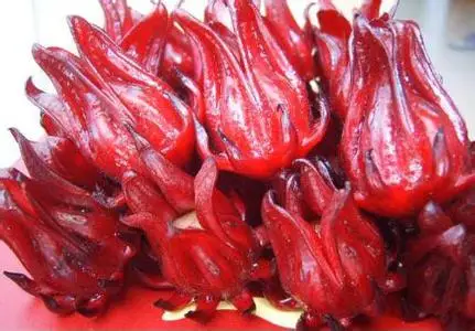 Новейшие семена Roselle, семена гибискуса Luosheng, семена цветочного чая для продажи