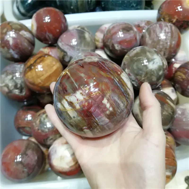 Wholesale Natural Petrified Wood Ball Wooden Fossil Stone Ball