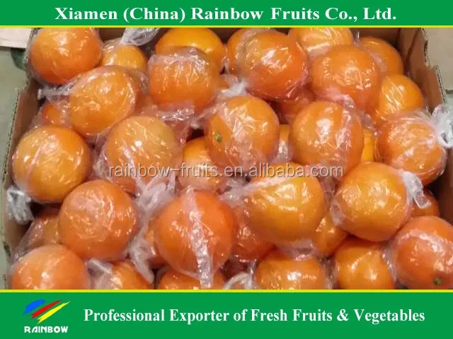 Chinese Fresh sweet Lokam Lokan Mandarin