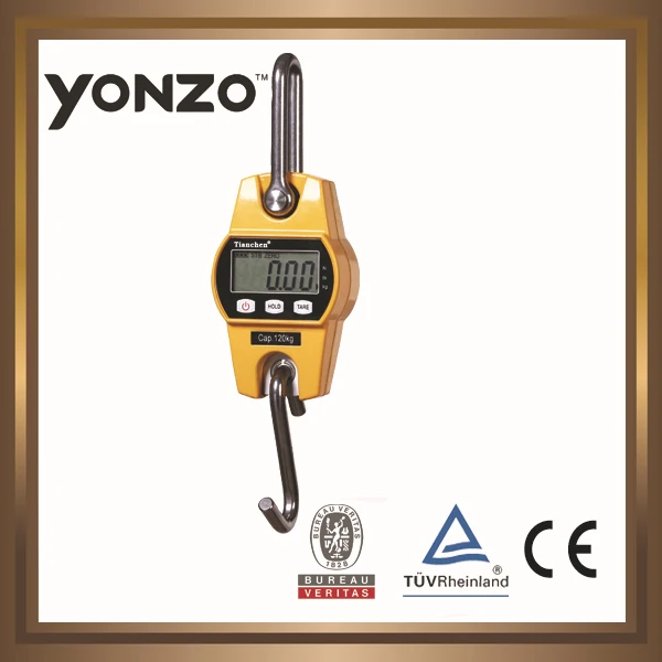 Cas крановые весы