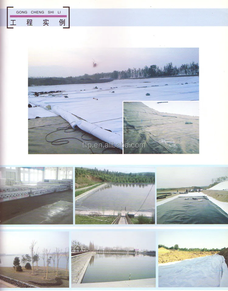 Polyolefin composite waterproof coiled material