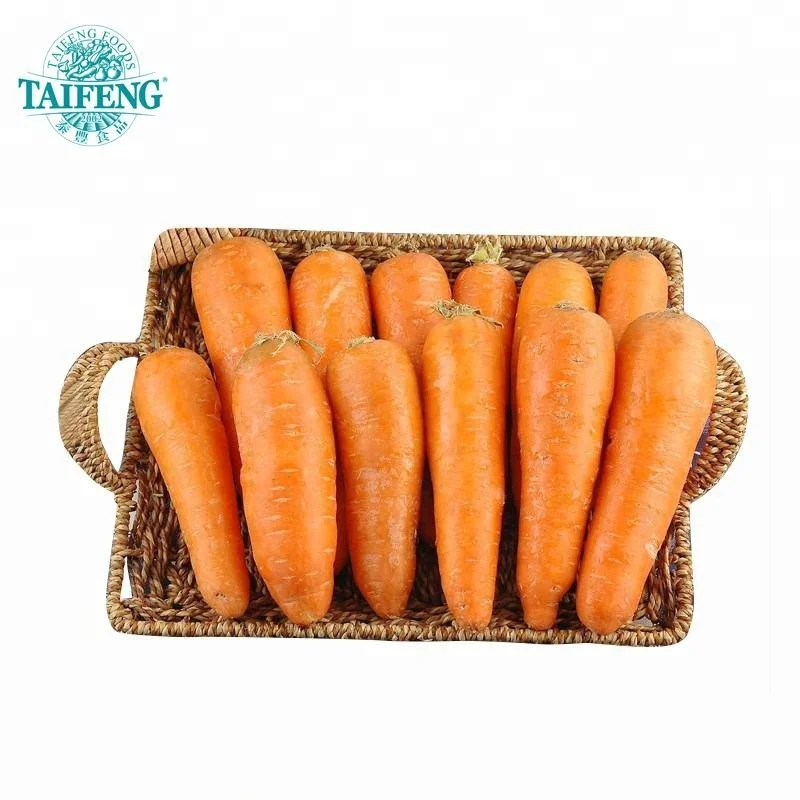2021 CROP fresh carrot