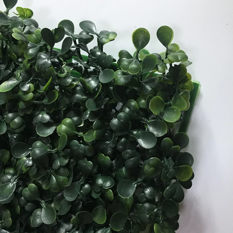 High quality UV resistance 50*50cm green artificial plant wall boxwood hedge for green outdoor wall