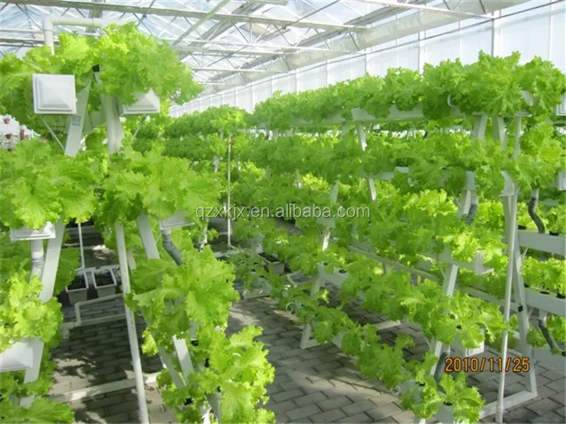 hydroponic container intelligent Hydroponic Growing Systems Greenhouse vertical hydroponic system on hot sale