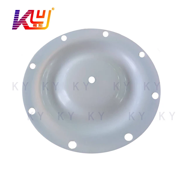 PTFE Diaphragm Pump Fittings It Is A Key Component Usually Round Sheet Dimensions Match Chamber