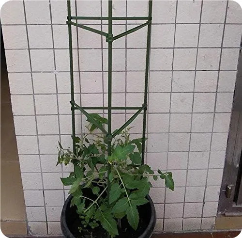 
Tomato cage plant support 