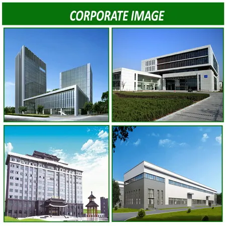 
GMP nootropic 50% oil 98% powder 6 paradol , 6-paradol 