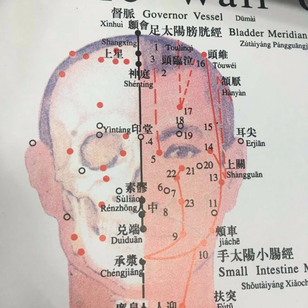 Chinese medical Acupuncture Charts points