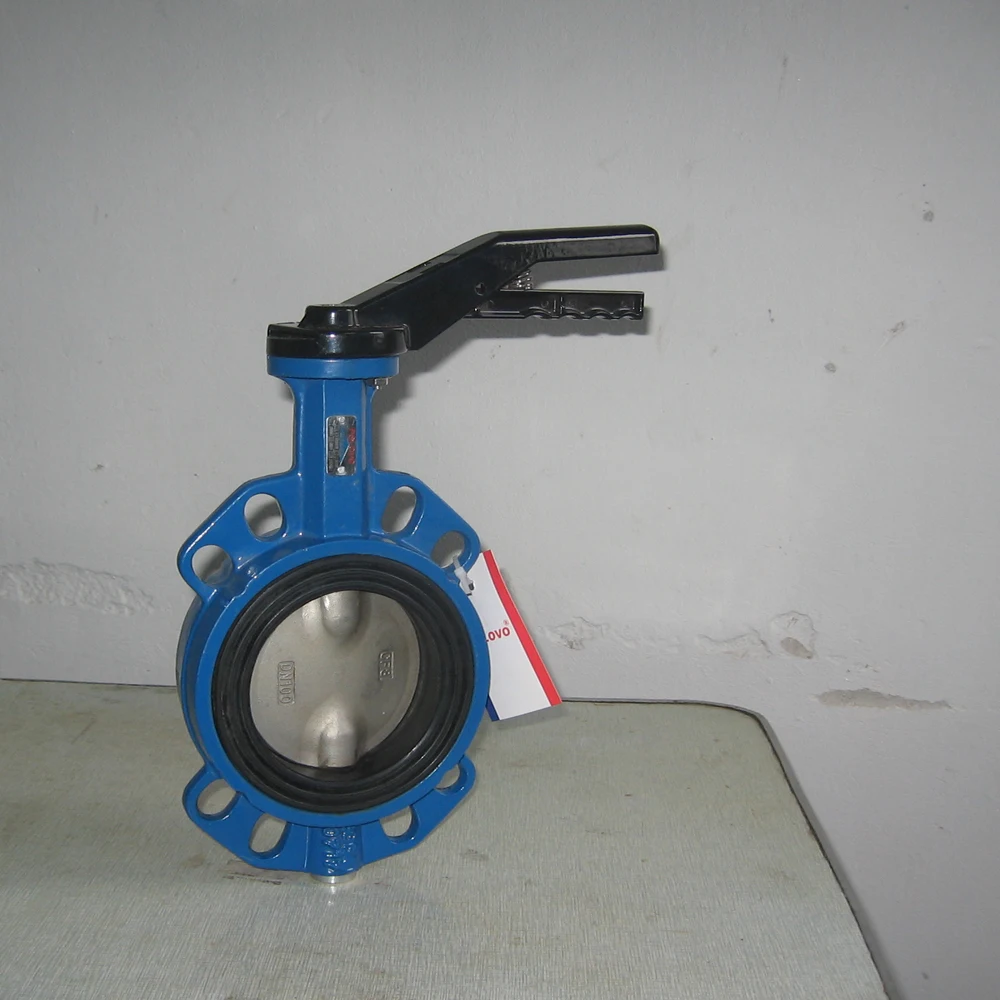 lug type butterfly valve DN250 by wafer connection