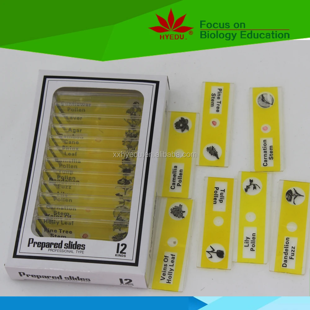 Plastic Microscope Prepared Slides Educational Science Toys Your Best Choice for Teaching Aids of 12pcs Plant Flower for Kids Ce