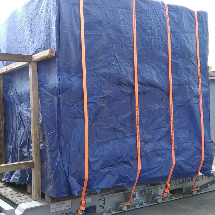 Continuous digital printing textile fabric steamer