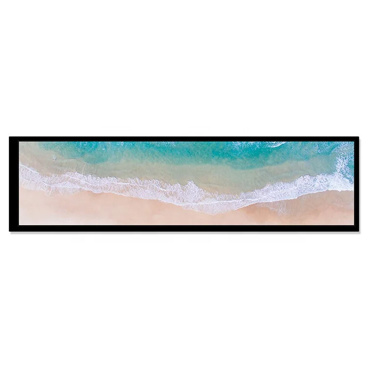 Wide Viewing Stretched Bar 40 Pins High Brightness Mipi 8.8 Inch 1920x480 IPS LCD Panel With White Backlightght HSD088IPW1-A00