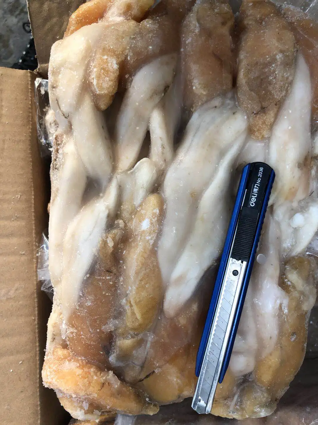 Frozen Gigas squid egg