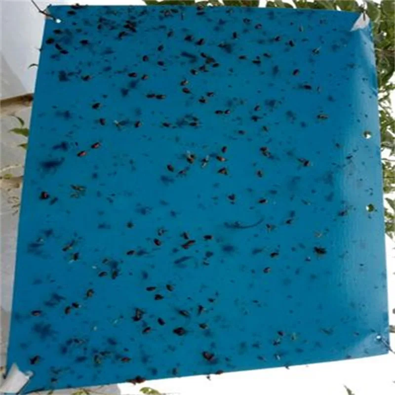 Anti pest blue sticky card