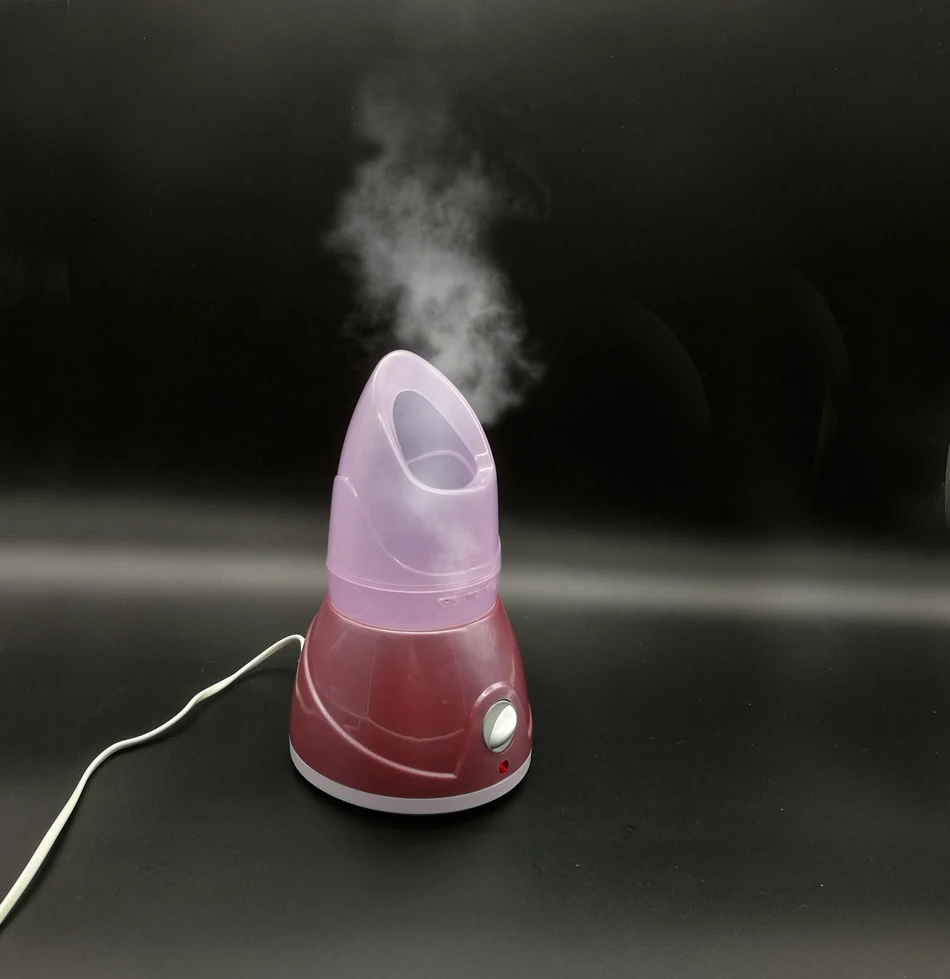 Personal use home spa professional skin care portable face steamer