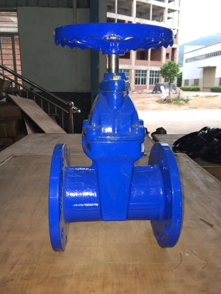 Ductile Iron BS5163 Gate Valve DN80 PN10/PN16