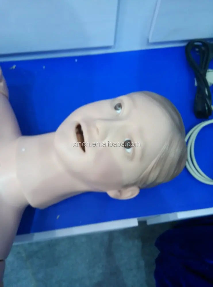 XC-401C Xincheng Scientific First Aid Manikins