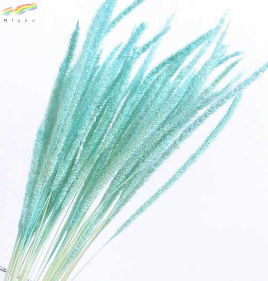 Hot sale fresh dried decorative pampas grass spindly plants color