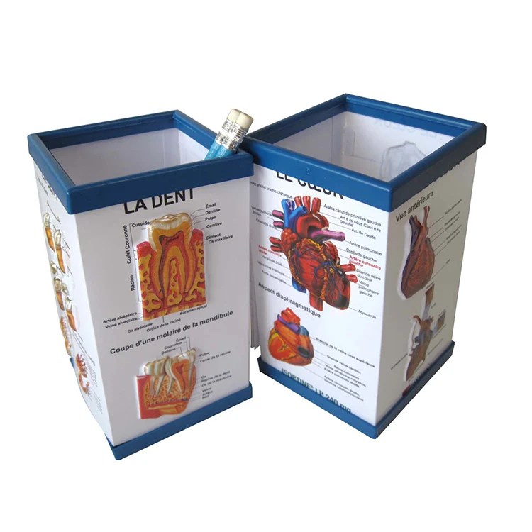 Индивидуальный медицинский подарок, пластиковый держатель для карандашей с одной ручкой для врачей и медсестер