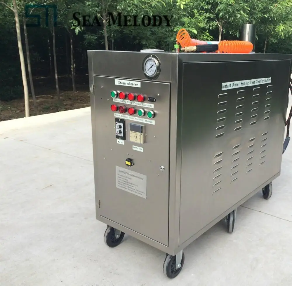 Высокое давление LPG питание двух паровых пистолетов машина для очистки автомобиля