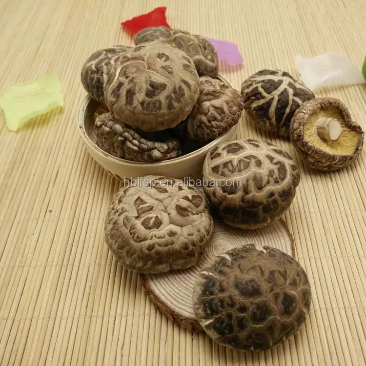 
Dried Tea Flower Shiitake Mushroom Whole 
