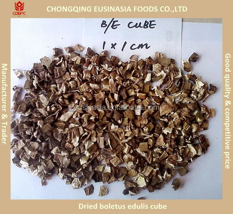 
bulk packed dried boletus penny bun mushroom 