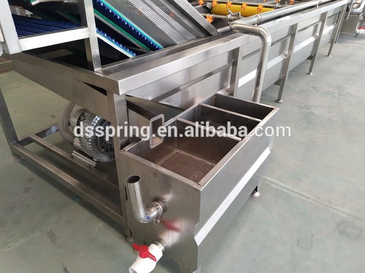 industry onion cucumber Kohlrabi salad leaf vegetable washing equipment cutting grading process machine manufacturer