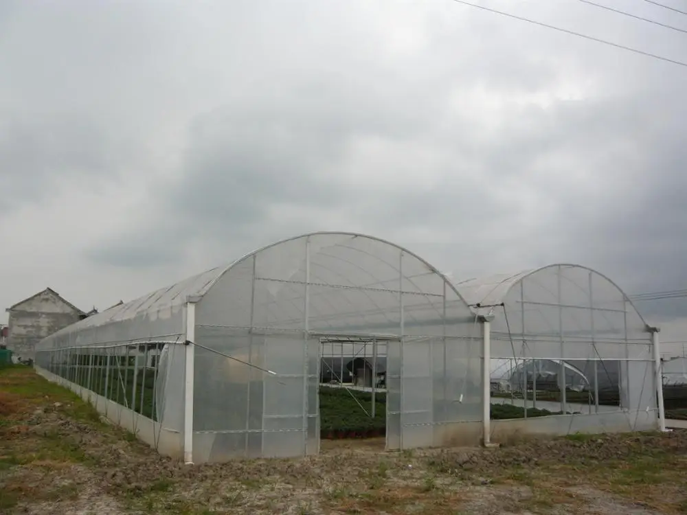 Long Service Life Double Layer Or Multilayer PC Hollow Sheet Multi Span Venlo Type PC Board Greenhouse