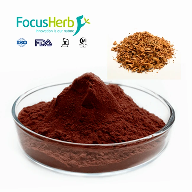 
FocusHerb Pygeum Extract 13% Phytosterols Powder 