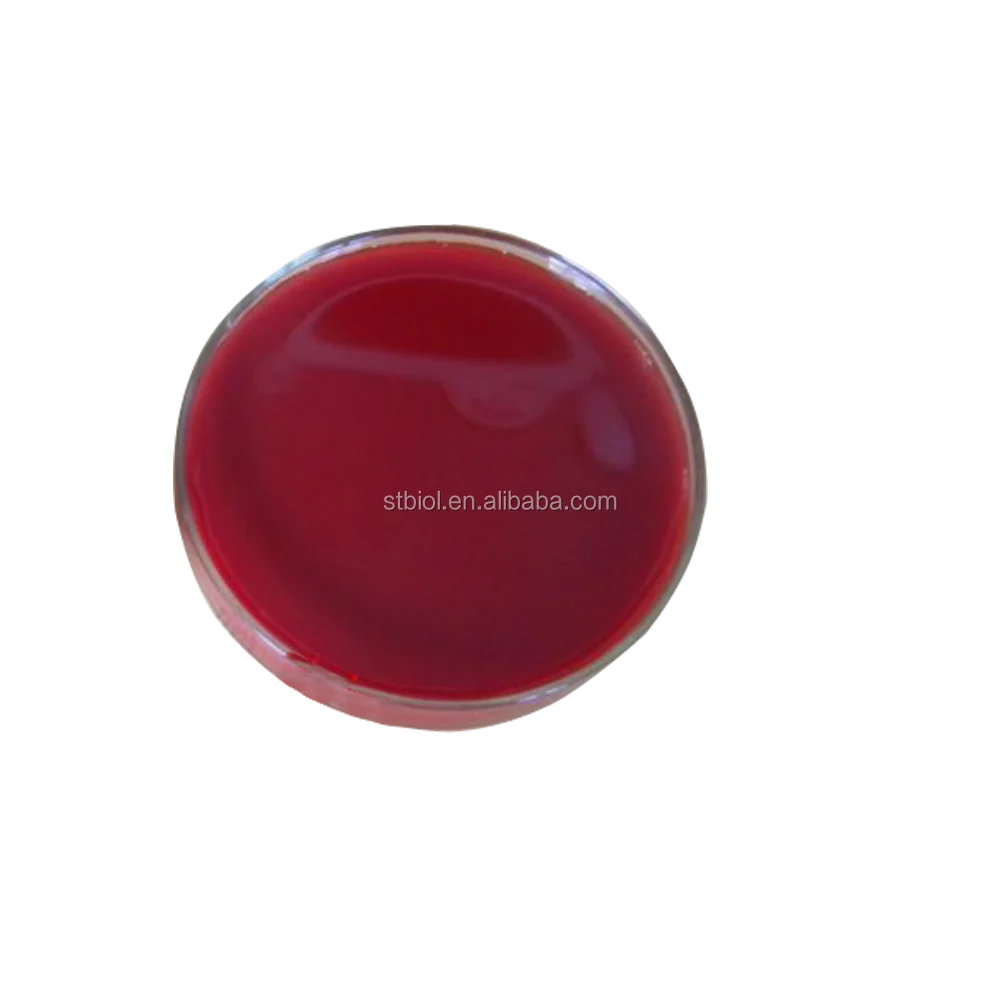 Фотосинтетические бактерии для обработки воды (родопсевдодомонас палюстрис)