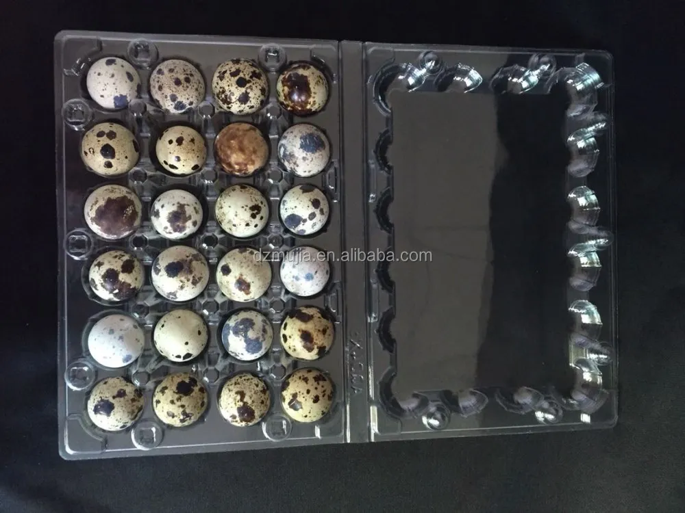 Carton packing box Plastic blister quail egg packing box /quail egg tray for sale