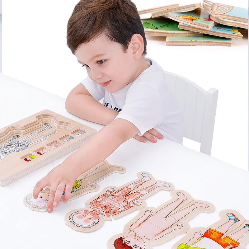 New design educational toys body structure wooden puzzle toy human body cognition puzzle