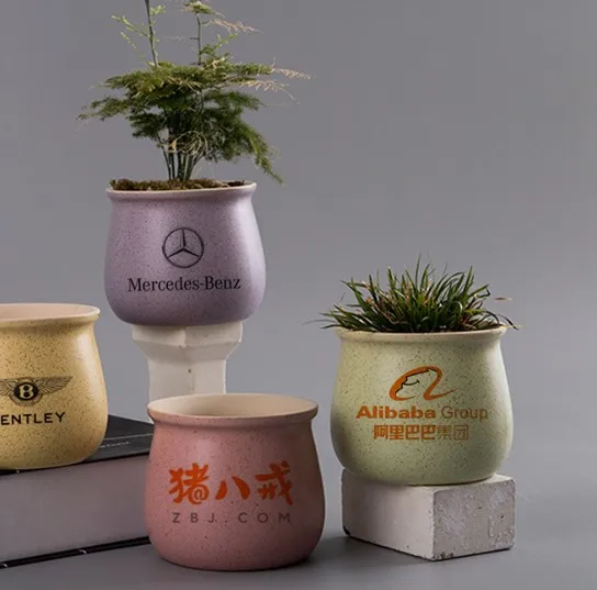 Оптовая продажа керамический цветочный горшок различных цветов Haonai
