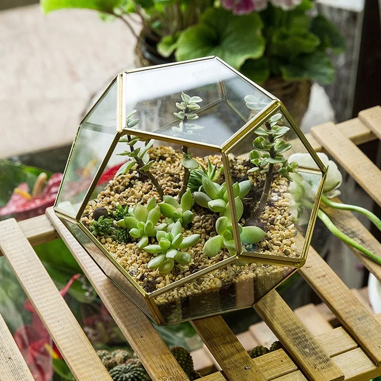 Box Geometric Terrarium Vintage Artificial Glass Bulk Copper for Indoor Terrarium Tabletop Vase Acceptable Customized 15~30days