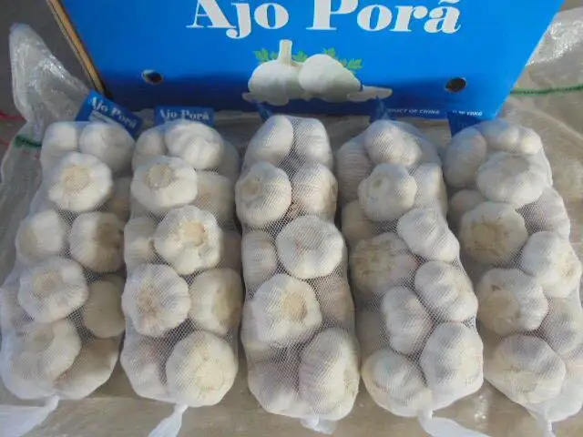 
China Fresh White Garlic , Purple Garlic price in China 