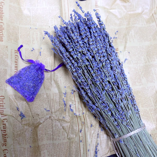 farm lavender harvester for sale toy and pillow filler lavender dried flower