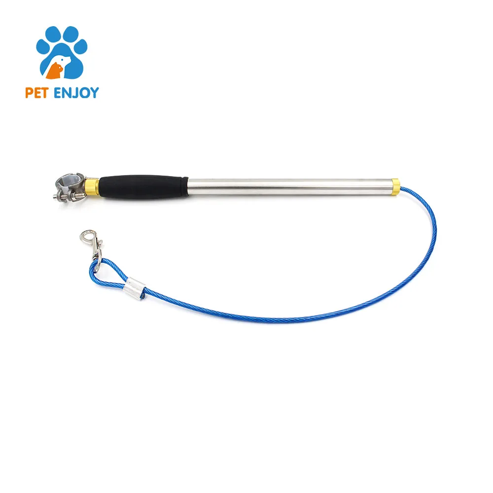 Walking small dog bike leash petco reviews baskets for small dog bicycle dog leash