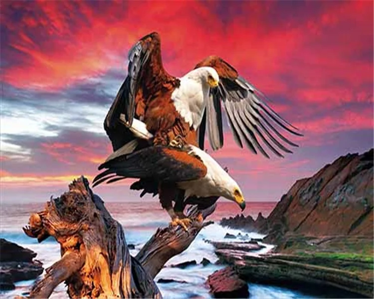 
Dinosaur hologram picture 3D picture of anmals for promotion 